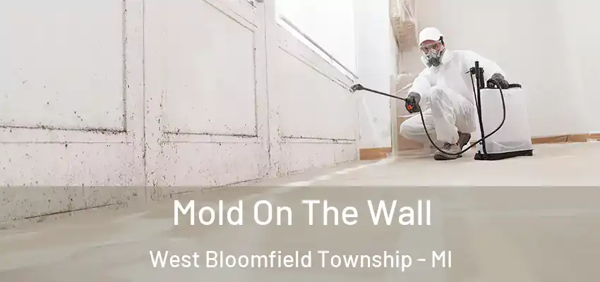  Mold On The Wall West Bloomfield Township - MI