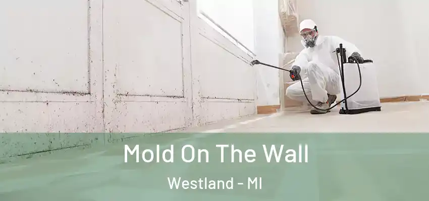  Mold On The Wall Westland - MI