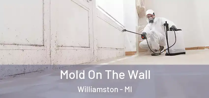  Mold On The Wall Williamston - MI