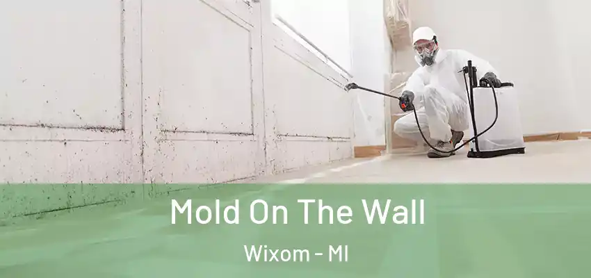  Mold On The Wall Wixom - MI