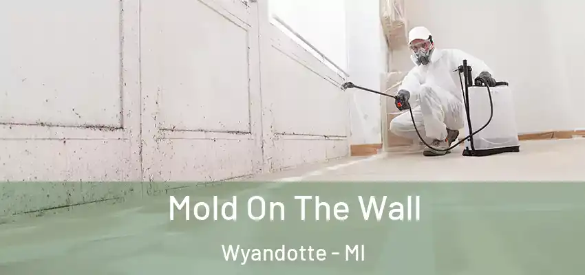  Mold On The Wall Wyandotte - MI