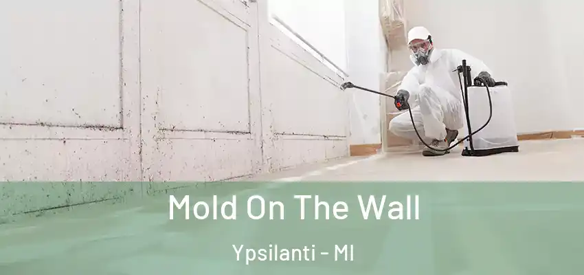  Mold On The Wall Ypsilanti - MI
