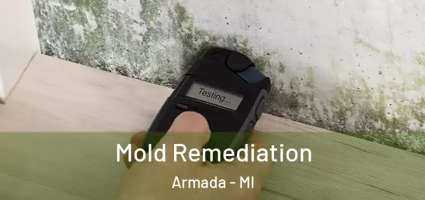  Mold Remediation Armada - MI