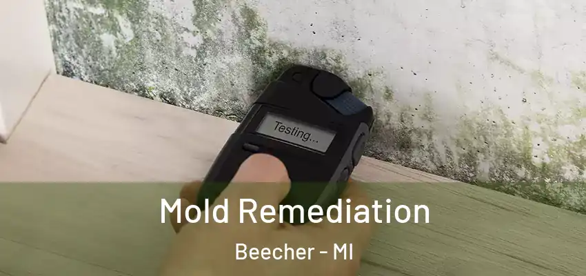  Mold Remediation Beecher - MI