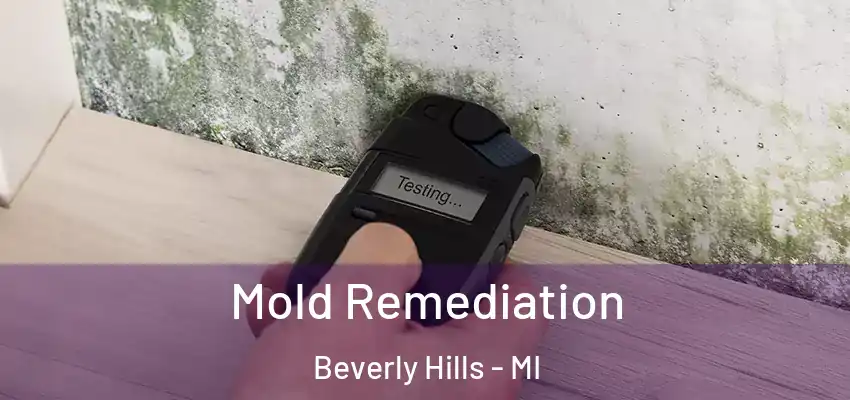 Mold Remediation Beverly Hills - MI