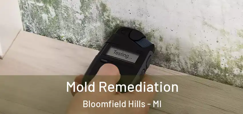 Mold Remediation Bloomfield Hills - MI