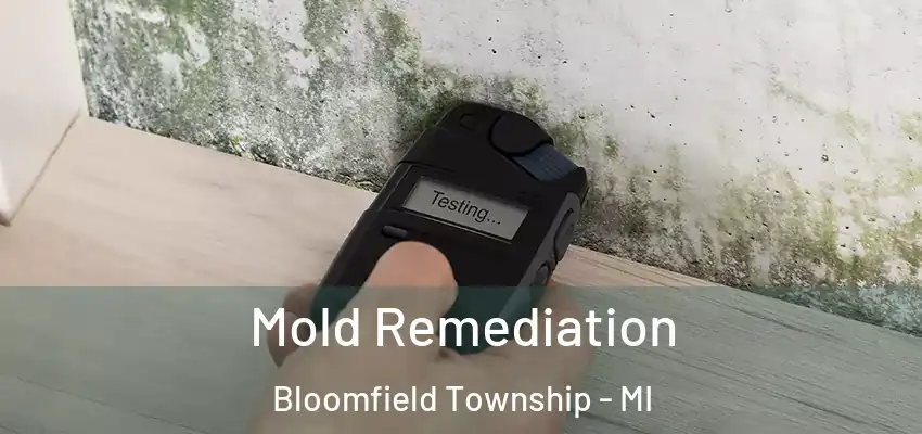  Mold Remediation Bloomfield Township - MI