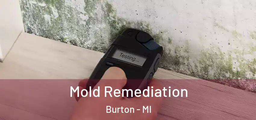  Mold Remediation Burton - MI