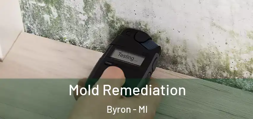  Mold Remediation Byron - MI