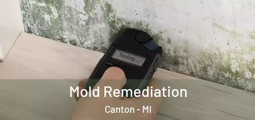  Mold Remediation Canton - MI