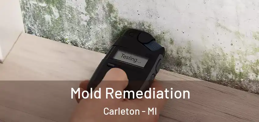  Mold Remediation Carleton - MI