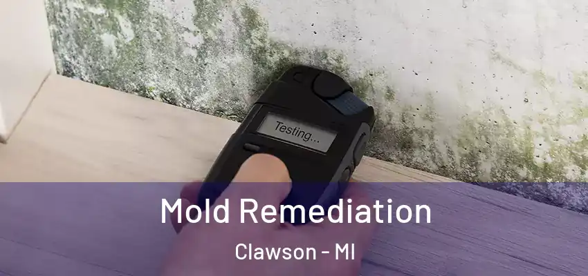  Mold Remediation Clawson - MI