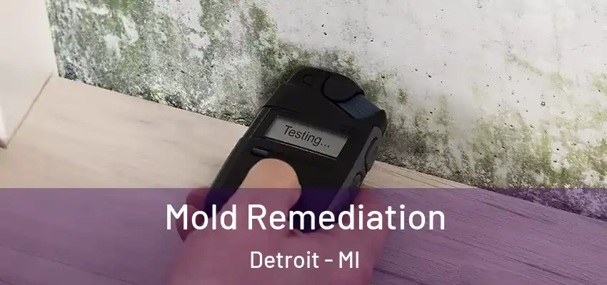  Mold Remediation Detroit - MI