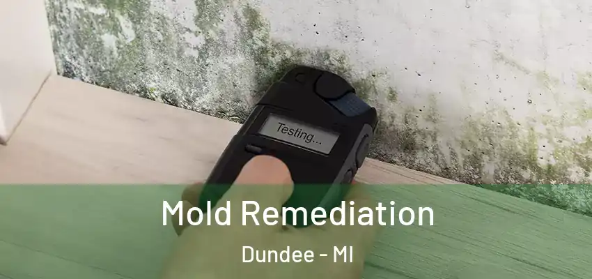  Mold Remediation Dundee - MI