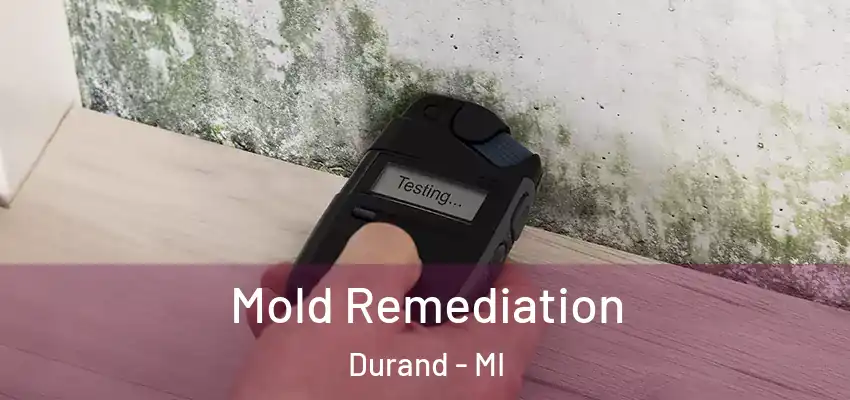  Mold Remediation Durand - MI
