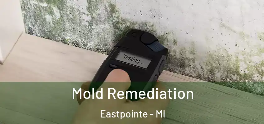  Mold Remediation Eastpointe - MI