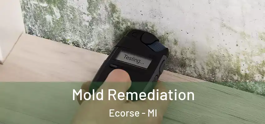  Mold Remediation Ecorse - MI