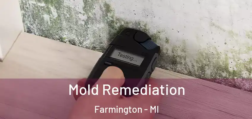 Mold Remediation Farmington - MI