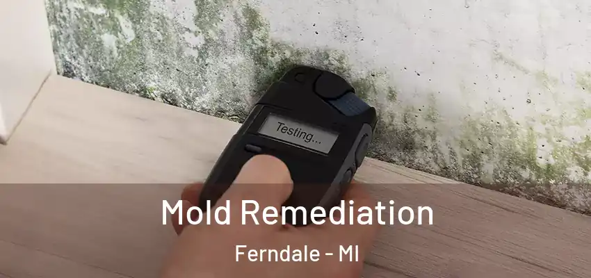  Mold Remediation Ferndale - MI