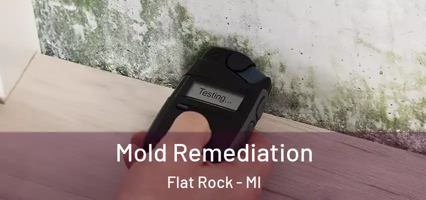  Mold Remediation Flat Rock - MI