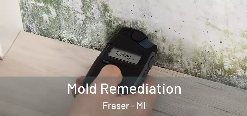  Mold Remediation Fraser - MI