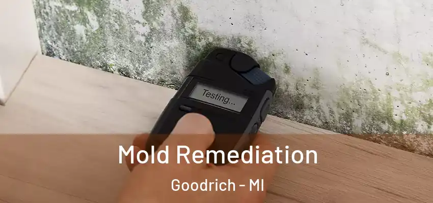  Mold Remediation Goodrich - MI