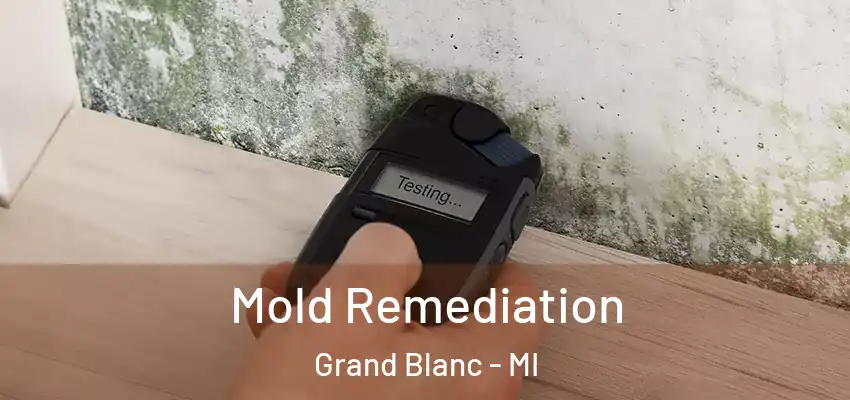 Mold Remediation Grand Blanc - MI