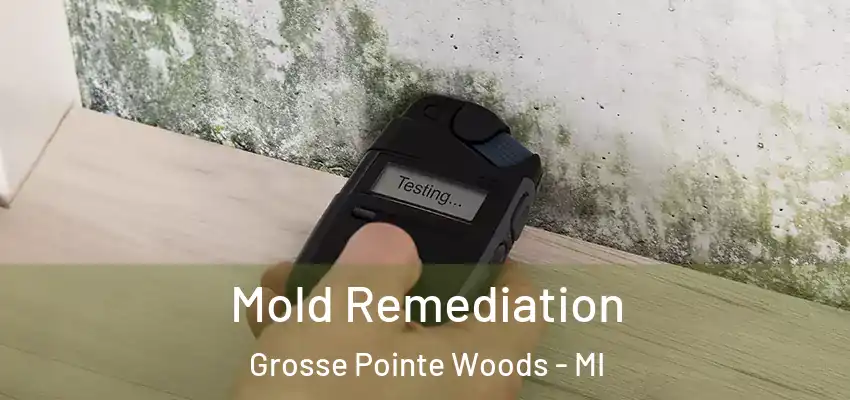  Mold Remediation Grosse Pointe Woods - MI