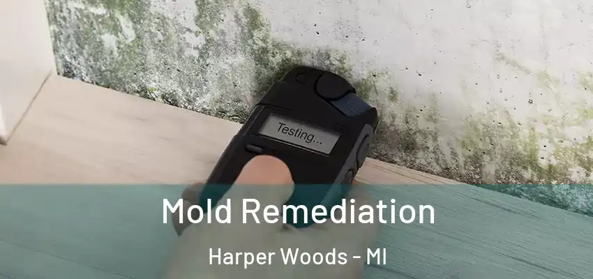  Mold Remediation Harper Woods - MI