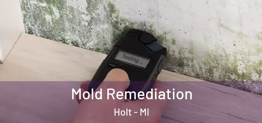  Mold Remediation Holt - MI