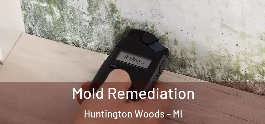  Mold Remediation Huntington Woods - MI