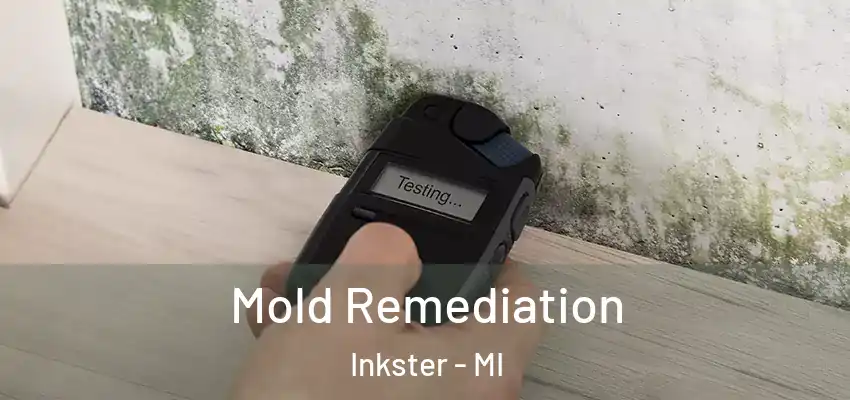 Mold Remediation Inkster - MI
