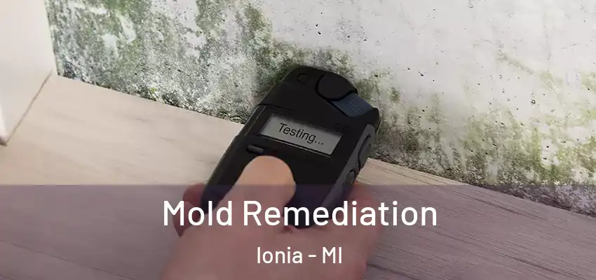  Mold Remediation Ionia - MI