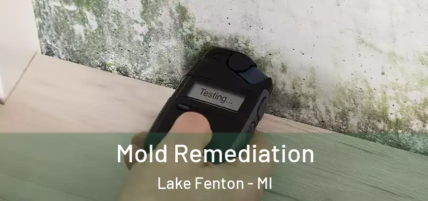  Mold Remediation Lake Fenton - MI