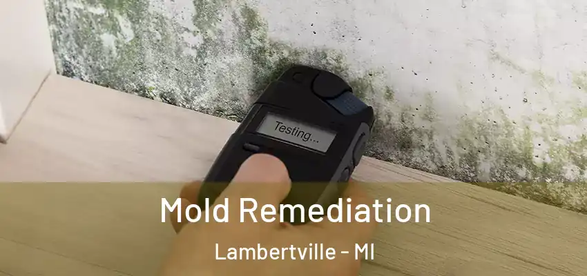  Mold Remediation Lambertville - MI