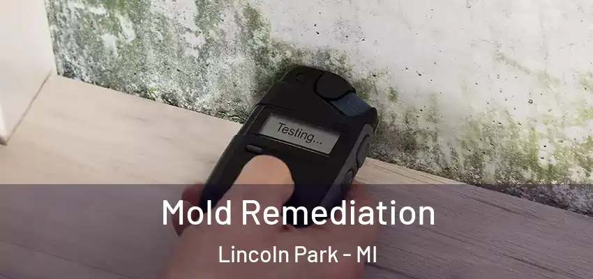  Mold Remediation Lincoln Park - MI