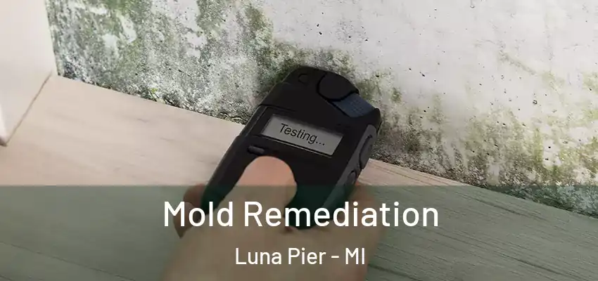  Mold Remediation Luna Pier - MI