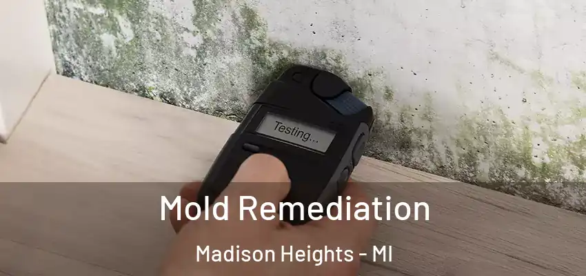  Mold Remediation Madison Heights - MI