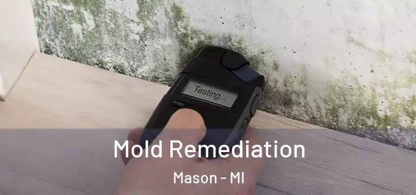  Mold Remediation Mason - MI