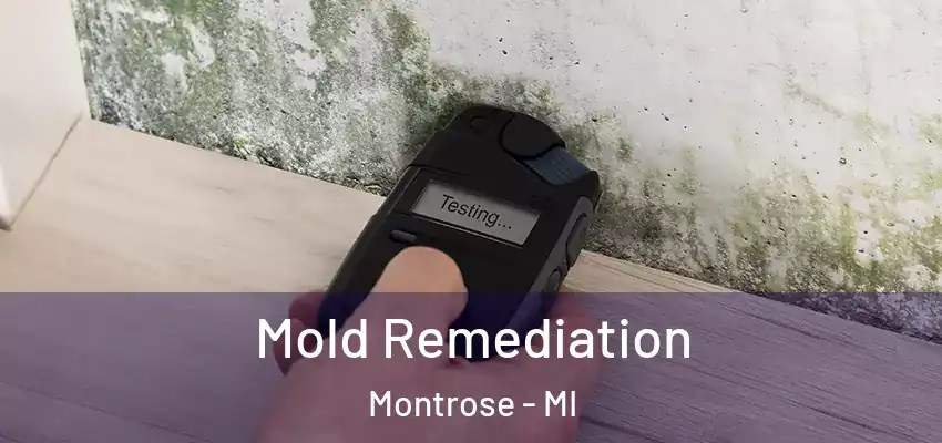  Mold Remediation Montrose - MI