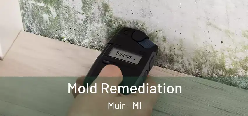  Mold Remediation Muir - MI
