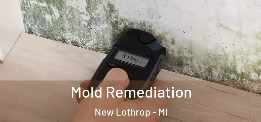  Mold Remediation New Lothrop - MI