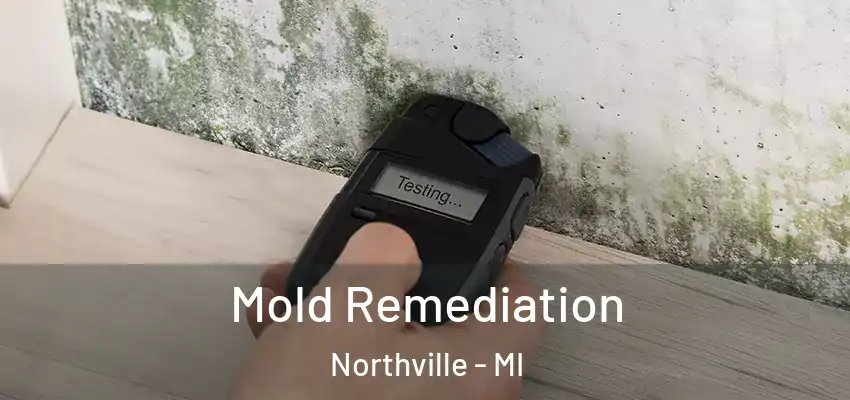  Mold Remediation Northville - MI