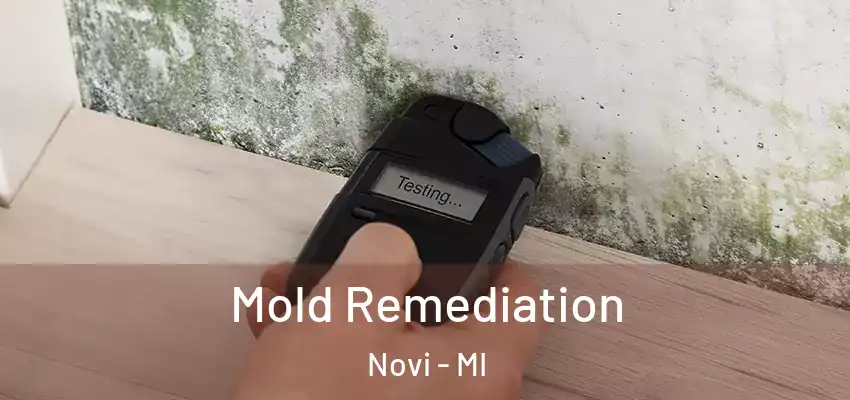  Mold Remediation Novi - MI