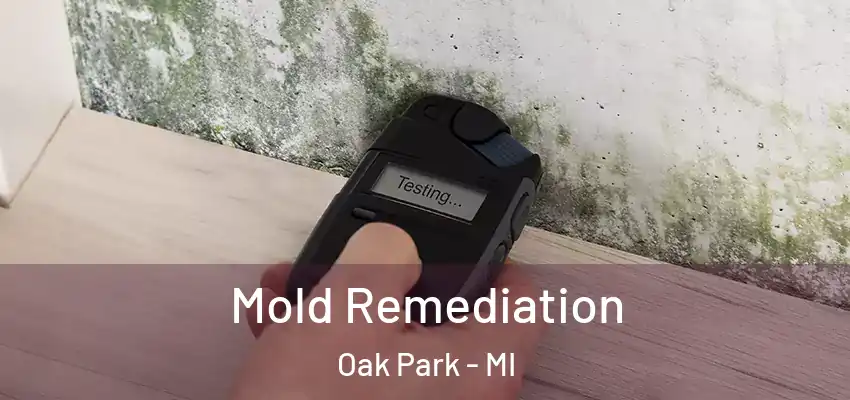  Mold Remediation Oak Park - MI