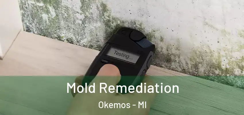  Mold Remediation Okemos - MI
