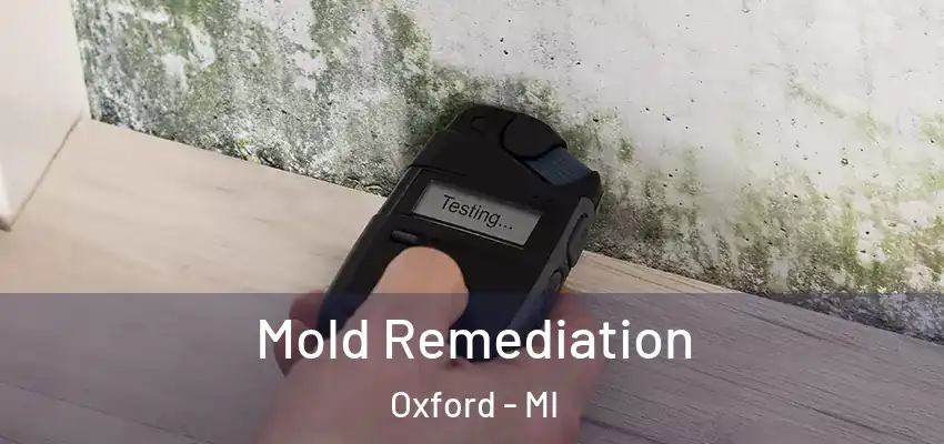  Mold Remediation Oxford - MI