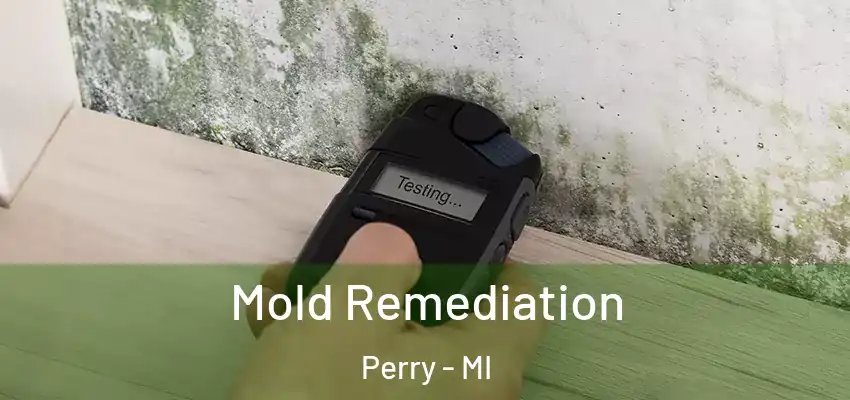  Mold Remediation Perry - MI