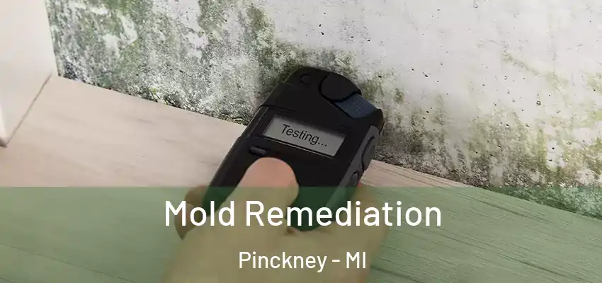  Mold Remediation Pinckney - MI