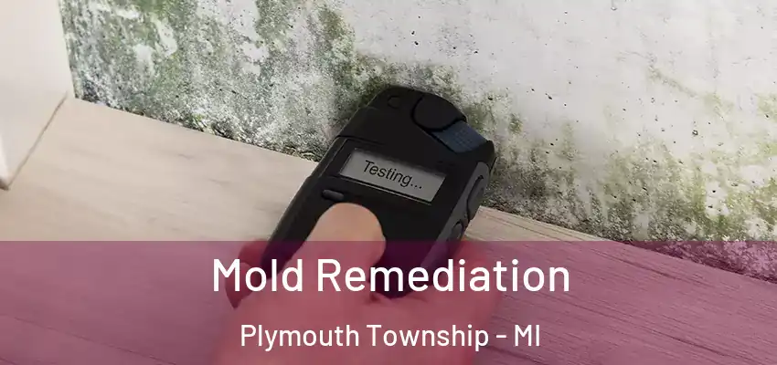  Mold Remediation Plymouth Township - MI